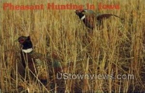 Pheasant Hunting in Iowa - Clarion  