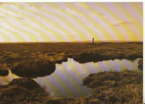 Yorkshire Postcard - Old Ralph Cross - North York Moor - Ref TZ2860