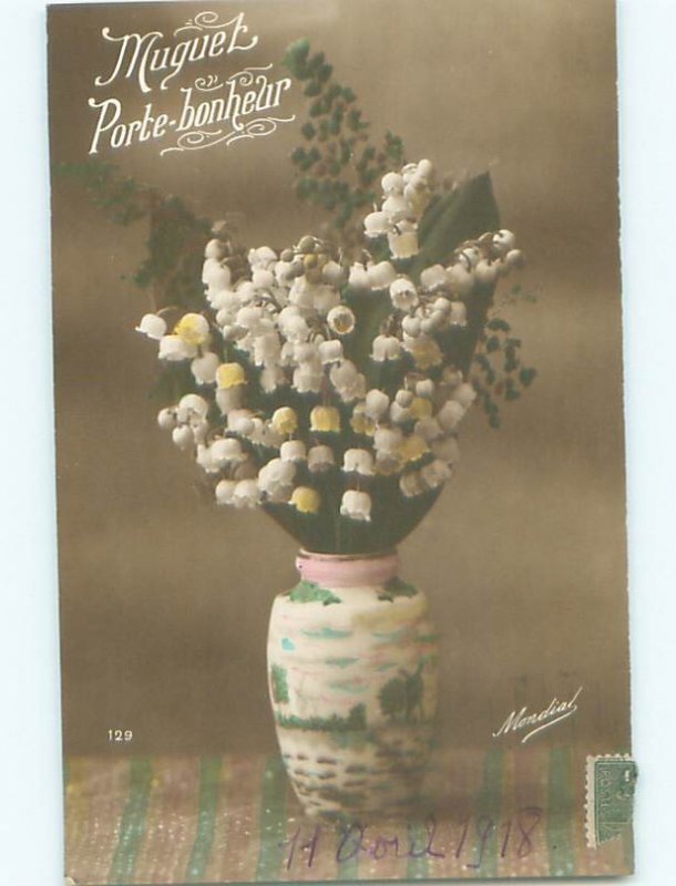 tinted rppc c1910 BEAUTIFUL FLOWERS AC9181
