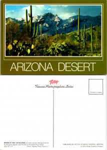 Arizona Desert (14543