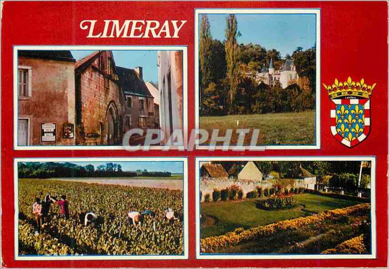 Postcard Modern Limeray (I and L) the Old Palace Chateau Harvest the Public G...