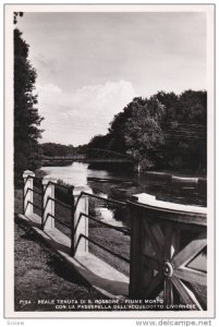 RP; PISA, Toscana, Italy; Reale enuta di S. Rossore, Fiume Morto con la Passe...