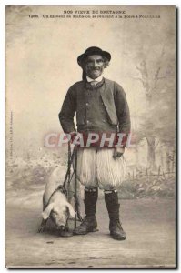 Old Postcard Pig Pig Our old Brittany A breeder of Mahalon visiting has the F...