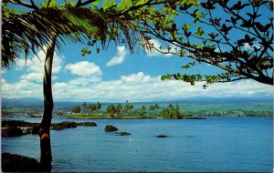 Hilo-Town Big Island Hawaii HI Postcard VTG UNP Nani Li’i Vintage Unused Mirro 