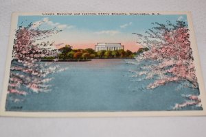 Lincoln Memorial and Japanese Cherry Blossoms Washington DC Postcard 10165