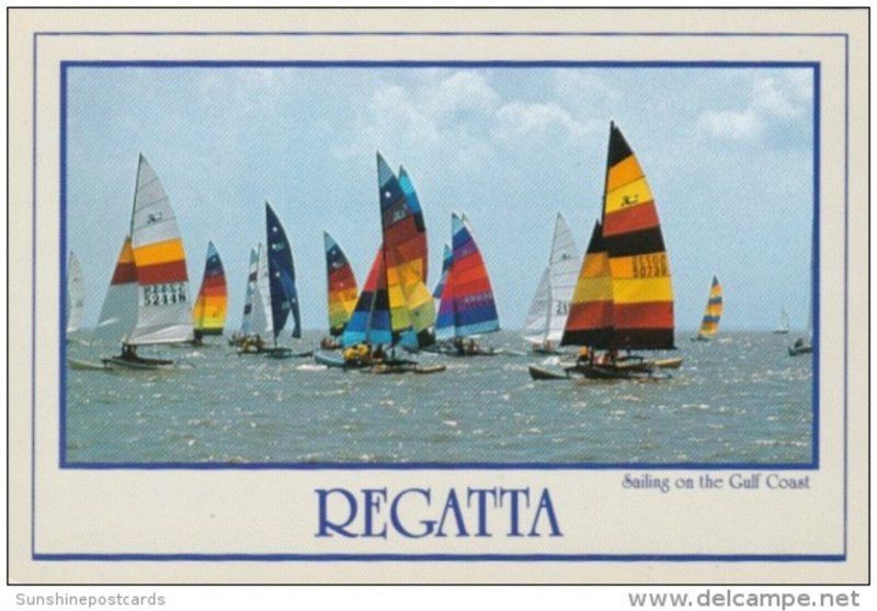 Sailing Regatta On The Gulf Coast