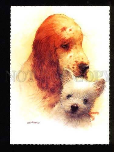 047544 Charming PUPPIES Terrier SPANIEL by GIORDANO old PC