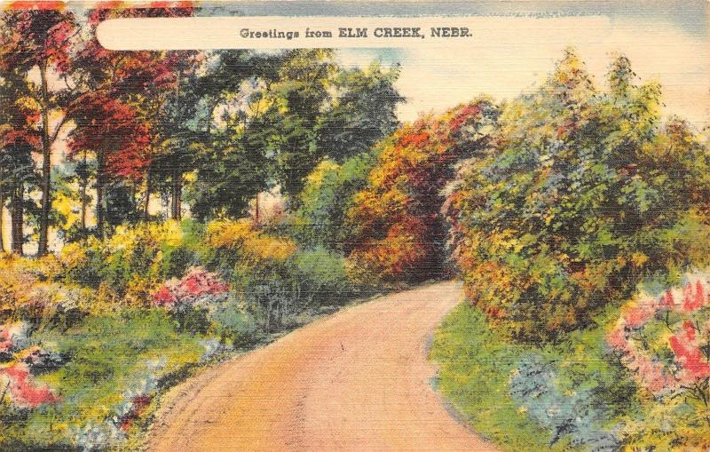 Elm Creek Nebraska~Colorful Trees & Bushes by Dirt Road~1940s Landscape Panel Pc