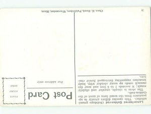 c1910 Beautiful Large signed LANCE LEAVED GOLDENROD FLOWERS AC4896