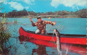 A tough one to land fishing Canada 1980 postcard
