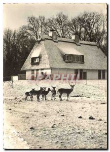 Postcard Modern im Wildgehege Bremen Burgerpark