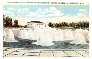 Postcard FOUNTAIN SCENE Catskills New York NY AP5193