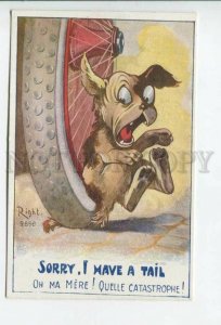 433938 RIGHT road accident Dog w/ long Tail under CAR wheel LAPINA Old postcard