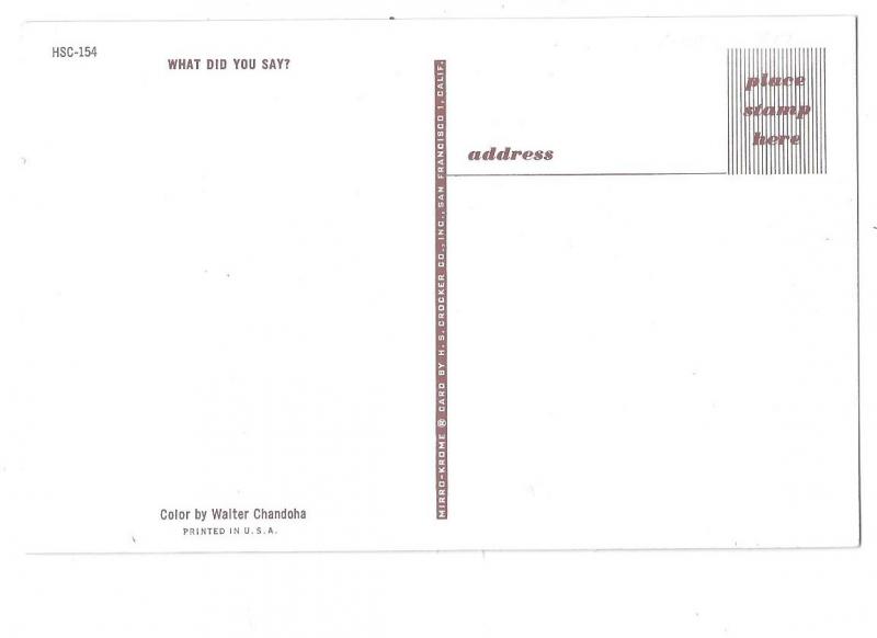 Two Adorable Schnauzer Dogs