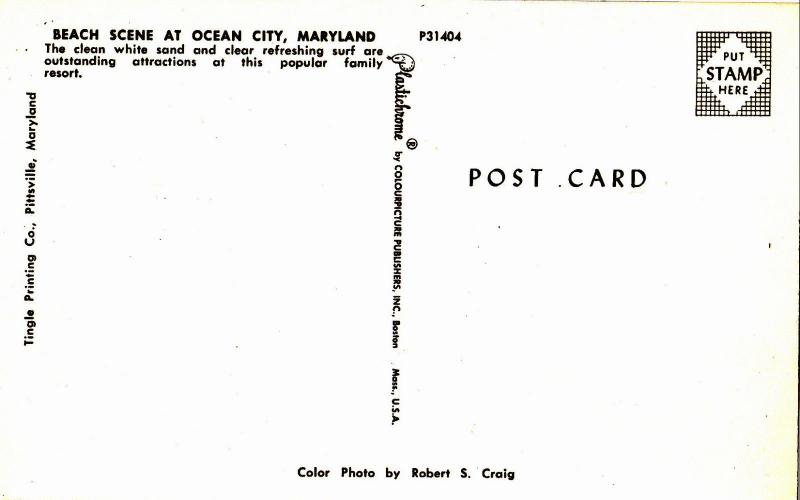 Ocean City  MD Maryland Beach scene  Postcard