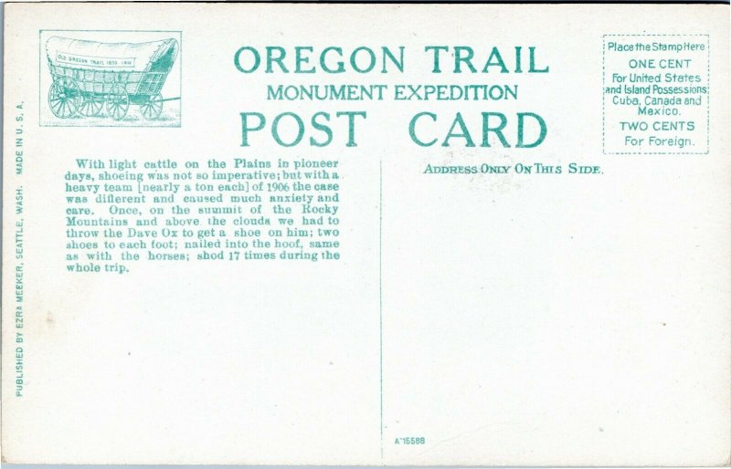 Oregon Trail Monument Expedition postcard - Shoeing the Oxen, Seattle 1906 