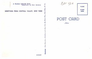 Postcard BOAT SCENE Central Valley New Mexico NM AS5324