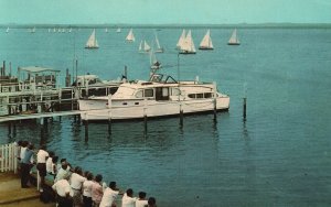 Vintage Postcard 1968 Sailboat Races Greater Wildwood Yacht Club New Jersey NJ