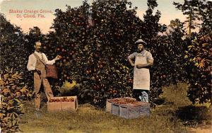 Very Rare Postcard Orange Grove Shaker Village, Narcoossee Florida, Near St C...