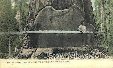 Twenty Six foot saw - MIsc, CA