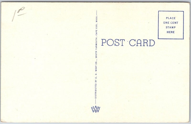 Cape Cod Massachusetts MA, Folks, Old Men with Hats, Beards, Vintage Postcard