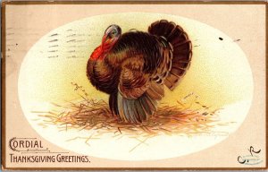 Turkey, Cordial Thanksgiving Greetings Clapsaddle Embossed c1907 Postcard N74