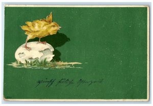 c1905 Easter Baby Chick Hatched Egg Hungary Posted Antique Postcard