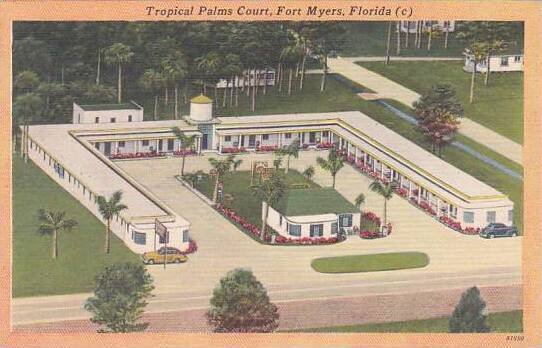 Florida Fort Myers Tropical Palms Court