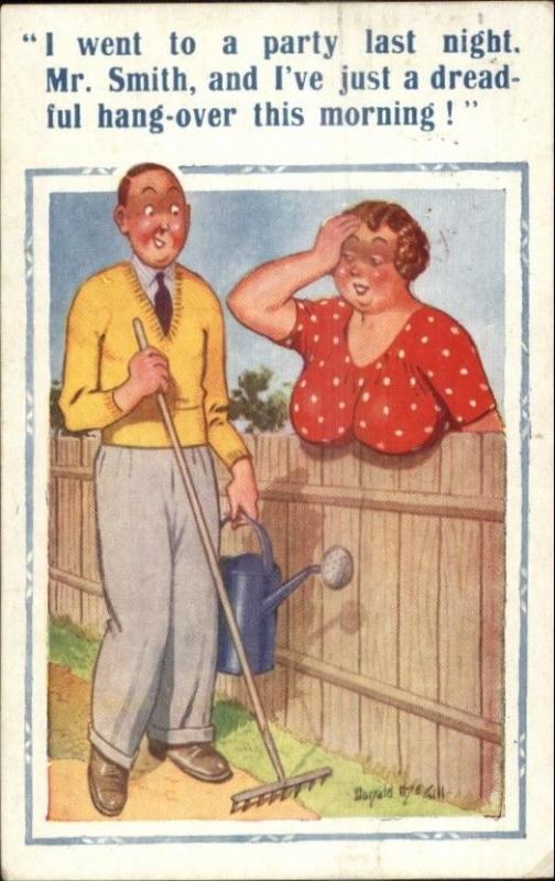 Donald McGill - Woman's Large Breasts Sagging Over Fence Pun Comic PC