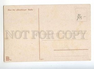 241152 GERMANY Luneburg Heath Vintage postcard