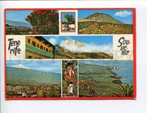 287708 SPAIN CANARY TENERIFE Sovenir Old photo collage postcard