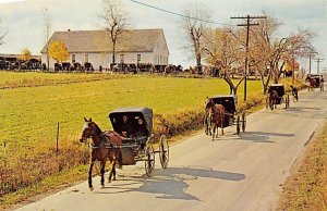 Heart Of Dutchland Mennonite Carriages Horses Unused 