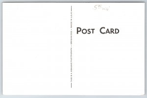 Wildwood by the Sea New Jersey~Newport Efficiency Apartments~Kitchen~1950 RPPC