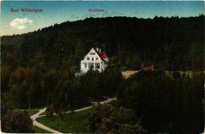 CPA AK Bad Wildungen Waldhaus GERMANY (899504)
