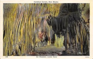 Ice Chamber, Lower Cave Carlsbad, New Mexico 