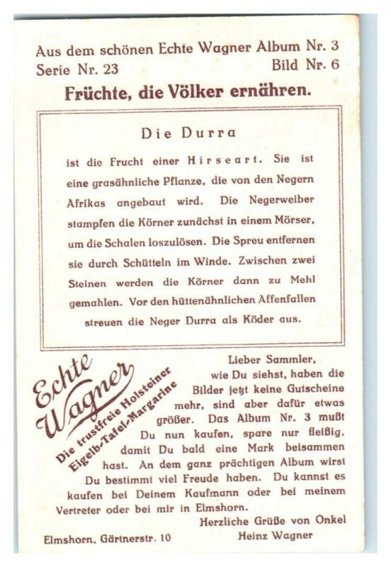 Durra, Africa, Nourishing Food, Echte Wagner German Trade Card *VT31U