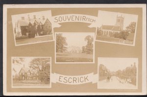 Yorkshire Postcard - Souvenir From Escrick    BR805