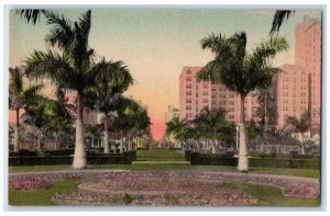 Looking Up Flagler Street Bayfront Park Miami Florida FL Handcolored Postcard