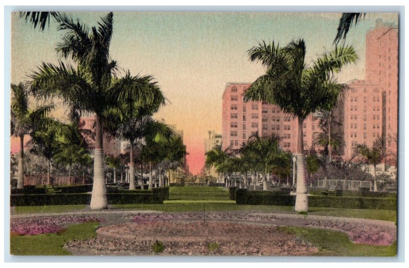 Looking Up Flagler Street Bayfront Park Miami Florida FL Handcolored Postcard