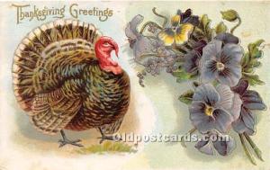  Thanksgiving Greetings Postcard 