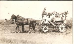 Horse drawn decorated buggy. Canada Nice old vintage postcard