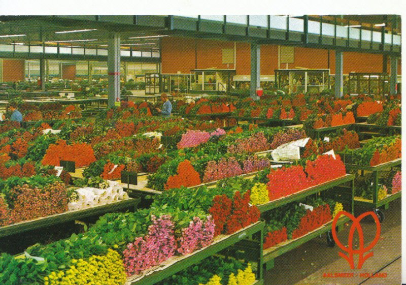 Netherlands Postcard - Holland - Aalsmeer - World Flower Centre - Ref 3562A
