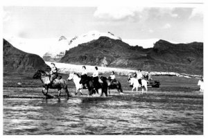 Iceland Postcard 1950s Posted Crossing a Glacial River On Horses Rccp T Jonsson