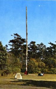 Victoria BC World's Largest Totem Pole Beacon Hill Park Indigenous Art Postcard