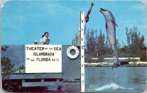 Florida Islamorada Theater Of The Sea Buttons The Porpoise Jumping For Food 1953