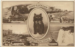 Sussex Postcard - Good Luck from Eastbourne   ZZ484