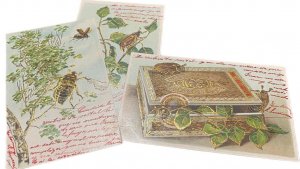 Lot 3 embossed 1900s Pentecost greetings postcards beetle bugs fantasy cigar box 