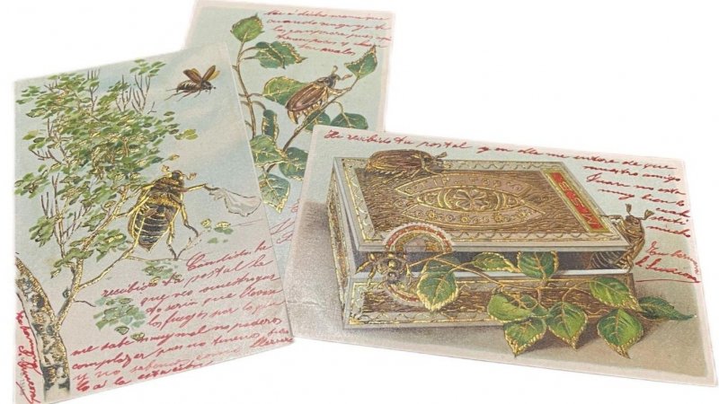 Lot 3 embossed 1900s Pentecost greetings postcards beetle bugs fantasy cigar box 