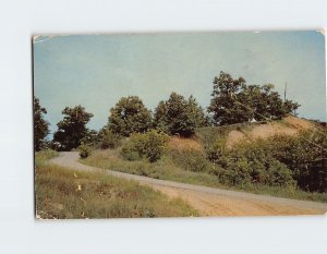 Postcard Nature Area, Illinois Beach State Park, Illinois