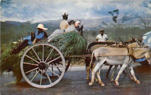 Homeward Bound Jamaica Unused 